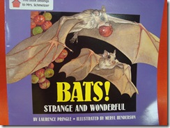 Bats, Bats, Bats 027