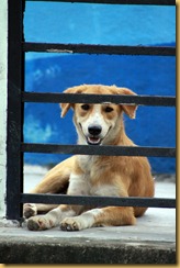 IMG_0965 IMG_0965