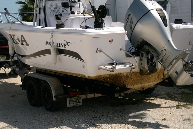 [SSK10Week140062.jpg]