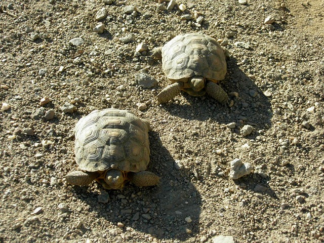 [WestTripWeek80082.jpg]