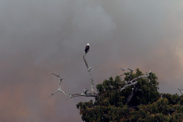 [OrtonaFranklin,10-10 249[2].jpg]