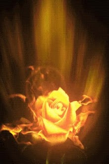 Beaming Rose Live Wallpaper