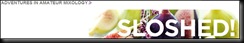 Sloshed Logo