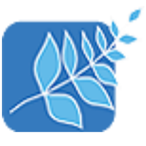 Sasedeve Consulting LLP 1.00.00