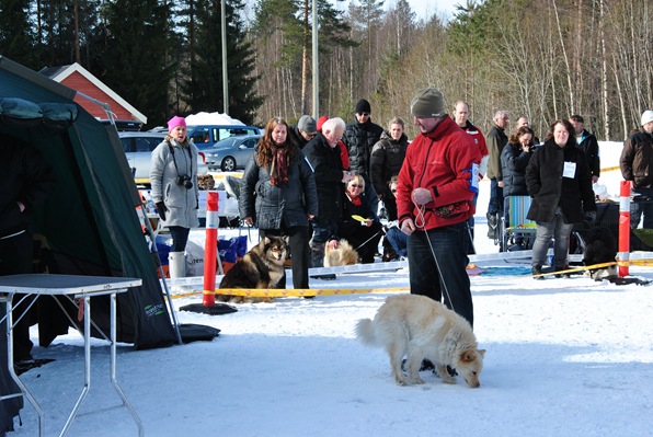 Kongsberg 053