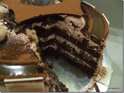 chocolate_cream_cake (2)