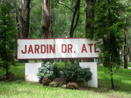 Jardín Dr.  Atl