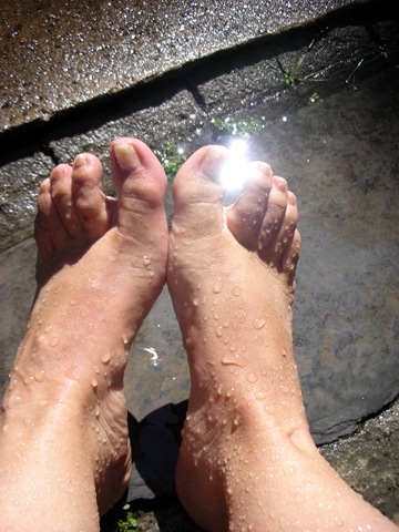 [foot wash 9730[2].jpg]