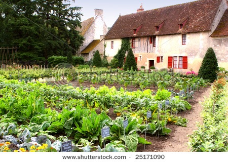 [stock-photo-kitchen-garden-vegetable-garden-near-old-france-cottage-25171090[3].jpg]