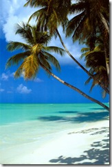 2400-4757~Tropical-Beach-Posters