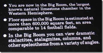 20-Big-Room-info
