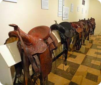 44-saddles