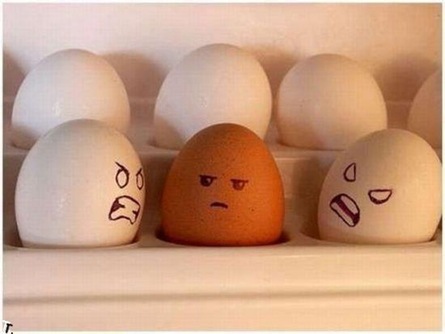 [Racist eggs2[4].jpg]
