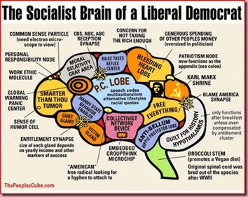 Liberal brain