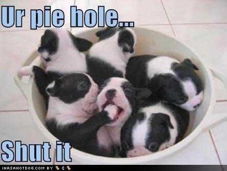 [Pie Hole2[3].jpg]
