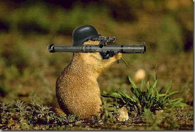 Squirrel with mortar