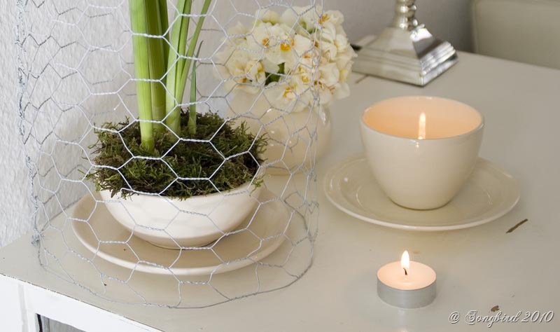 [Wire Cloche4[9].jpg]