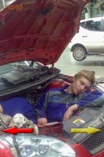 Best Funny Pictures Screenshots 3