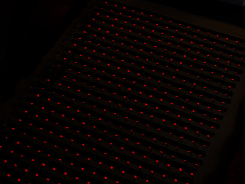 PA115250.JPG