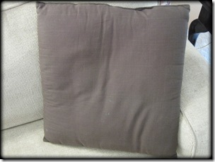 Beautifying A Boring Pillow Domestically Speaking