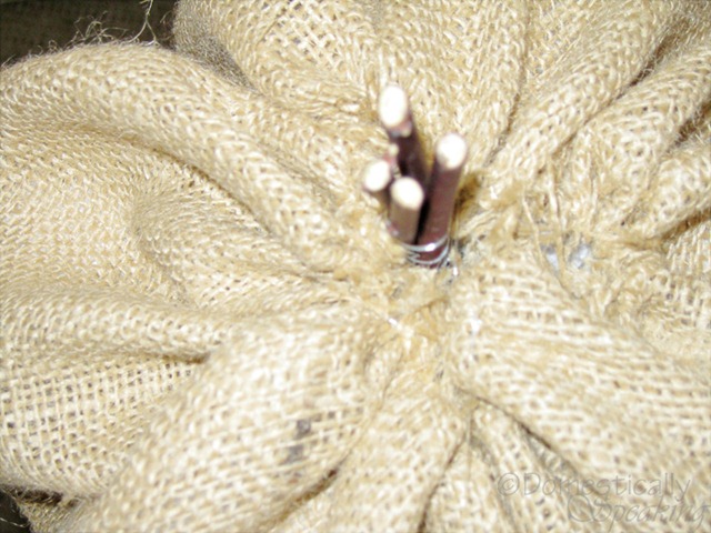 [burlappumpkins44.jpg]