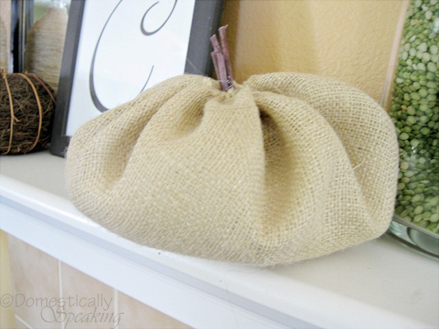 [burlappumpkins84.jpg]