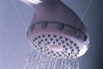 [shower-head_~IS7091[3].jpg]