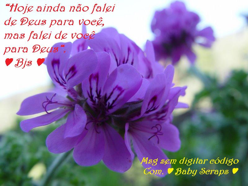 flor%20roxa.jpg
