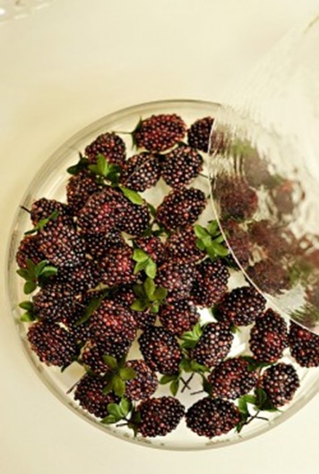 Blackberries-250x375