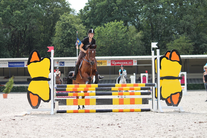 Springles @ KNHS instructieweek 8!! • Bokt.nl