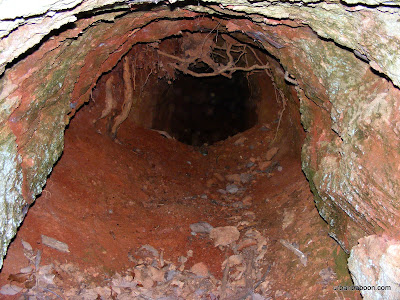 Inside the Gold Mine