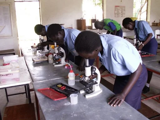 |What do microscopic warts look like, microscopic photo wart|, |aids