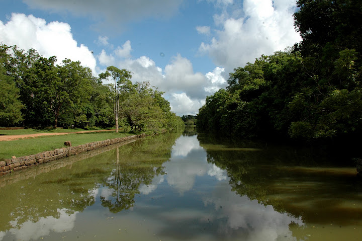 DSC_2294.JPG