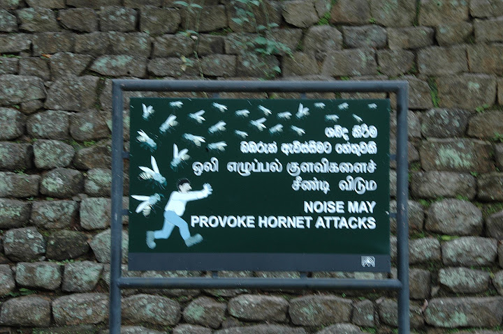 DSC_2359.JPG