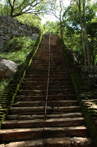DSC_2611.JPG