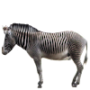Zebra Sticker