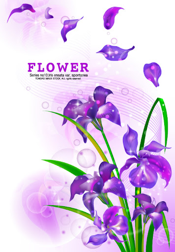 Iris.Flower.Background-aiovector.com.jpg