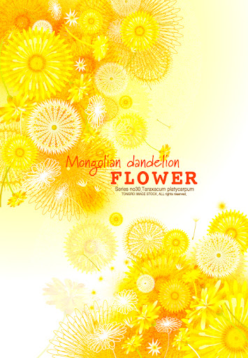 Mongolian.Dandelion.Flower.Background-aiovector.com.jpg