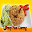Resep Nasi Goreng! Download on Windows