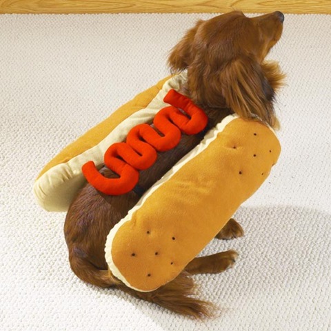 [Hot Diggity Dog Costume Ketchup[5].jpg]