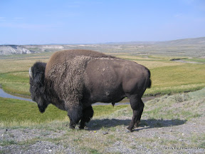 Slideshow of Yellowstone