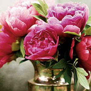 [Flowers 22[2].jpg]