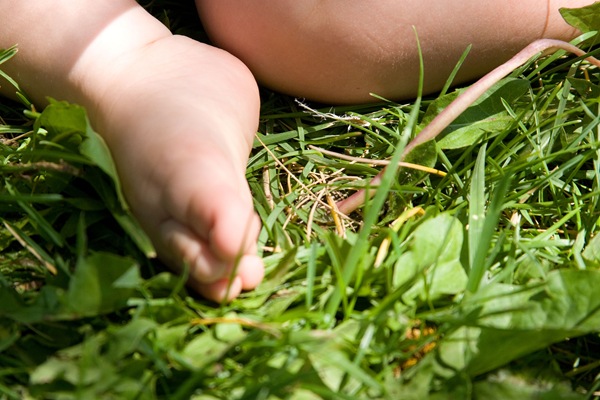 TDS-soft-baby-skin-poky-grass