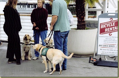 Tony with Reyna waiting to get on the Ferry with some other puppy raisers in our club.