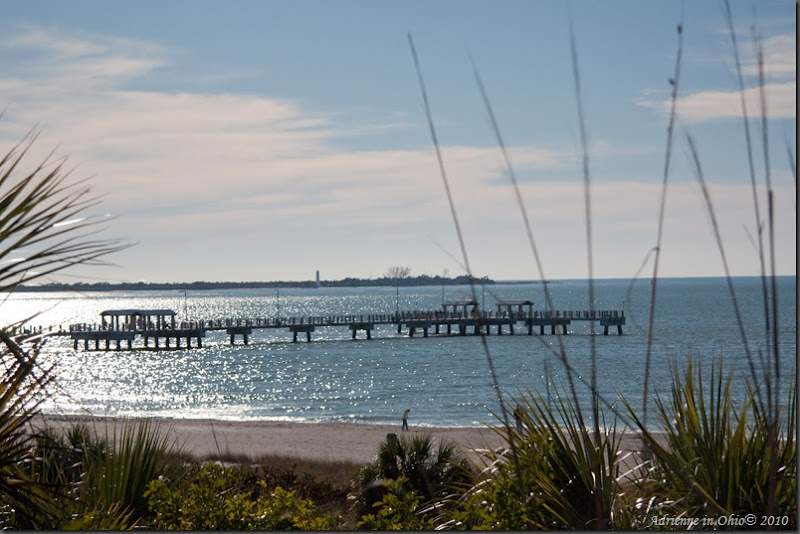 deSoto Pier photo by Adrienne Zwart