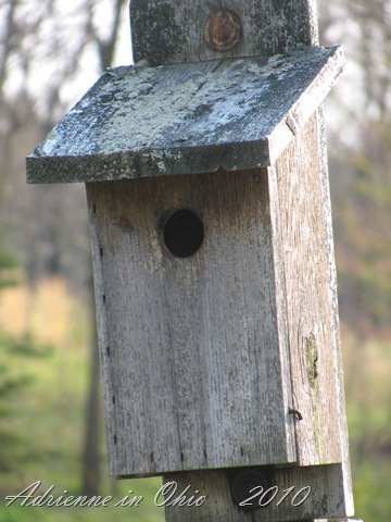 [birdhouse[14].jpg]