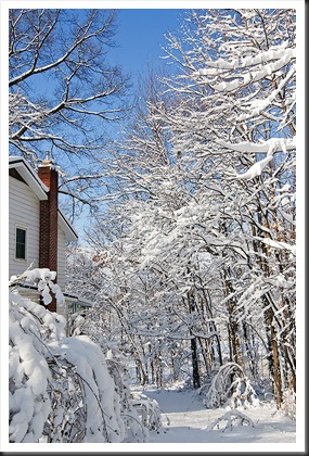 Snow-Feb-2011-2