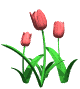 flor6.png