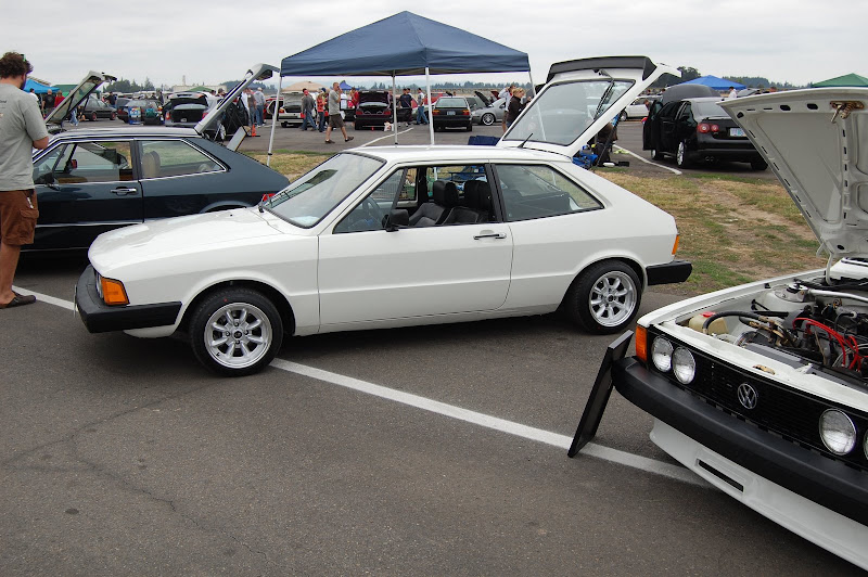 Pacific Northwest Rabbit Photos | Page 2 | VW Vortex - Volkswagen Forum