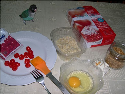 roscTaga%20047.JPG